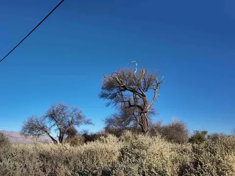 Venta terreno Cafayate Pueblo Nuevo