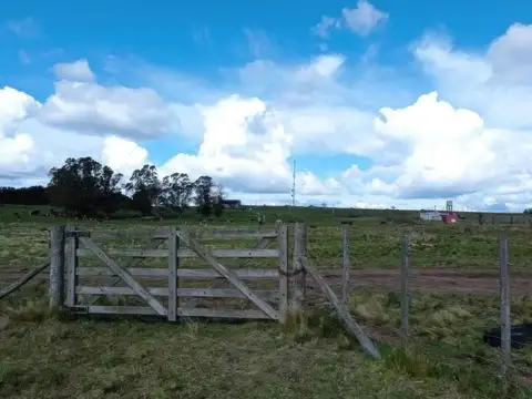 Terreno en Venta 66  mts Fondo