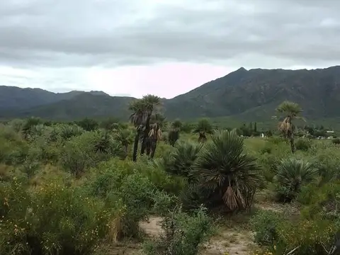 Terreno en Venta en Papagayos, Chacabuco