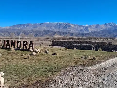 Ruta 89 La carrera 100