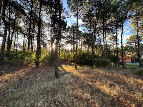 Terreno en Venta de 957,0 m2