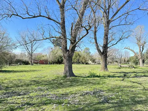 Calle  Areco al 3000