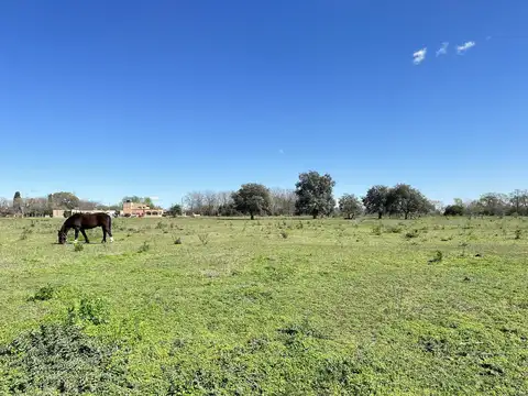 Terreno en Venta 86  mts Frente