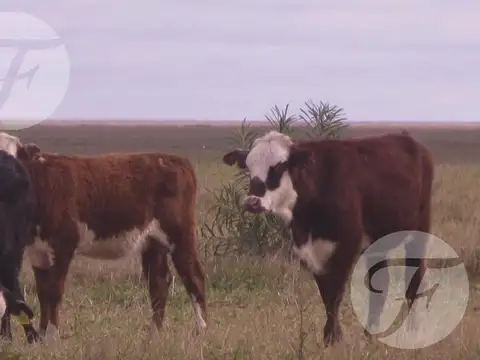 Ruta Nacional 12 Km 1223