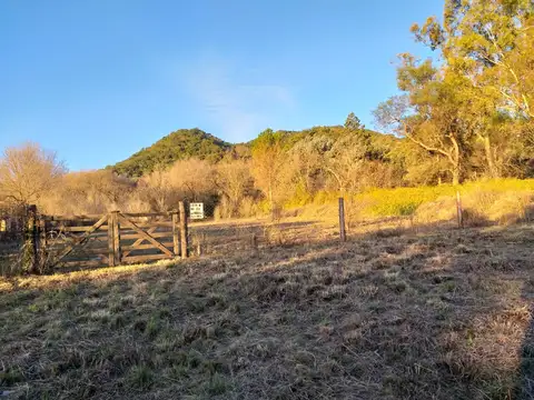 Terreno en Venta 125  mts Fondo