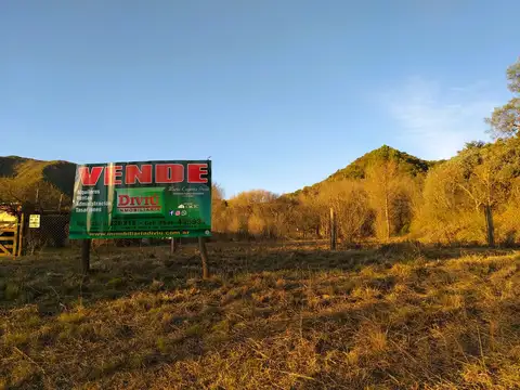 Ruta Provincial 5 200