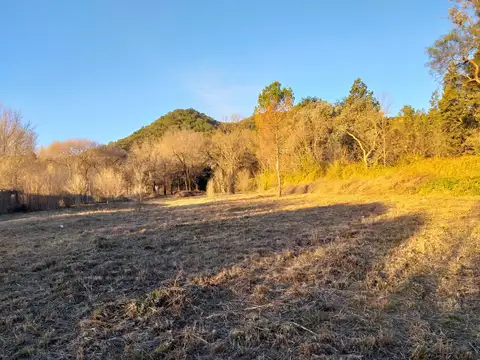 Lote en venta sobre Ruta Nº 5 en Calamuchita – Terreno amplio al pie de las Sierras con servicios (Cód. 2120)