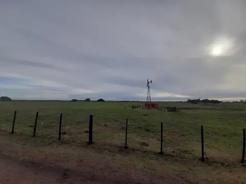 Campo en Venta de 52  ha