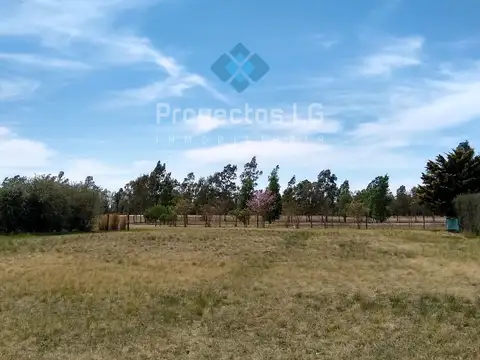 Terreno en Venta en Sinsacate, USD 55.000