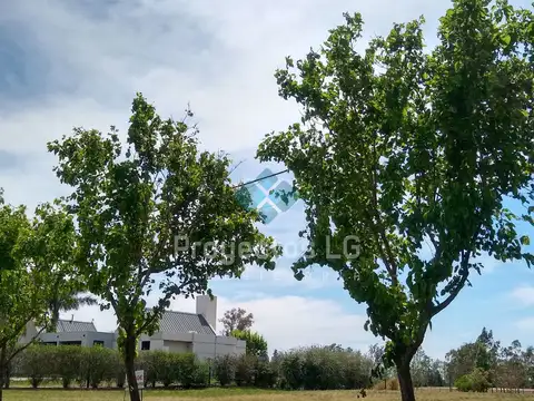 Terreno en Venta en Sinsacate, USD 35.000