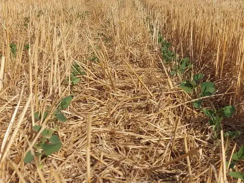 Venta de campo en la zona de Mercedes- San Andrés de Giles próximo a Autopista Ruta 7