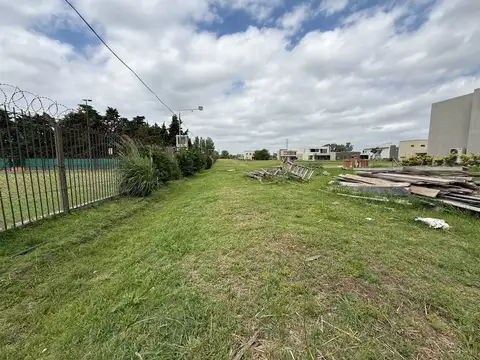 Terreno en Venta 31  mts Fondo