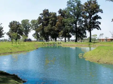 Terreno en Venta 40  mts Frente