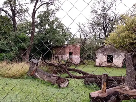 LA PAMPA 3100
