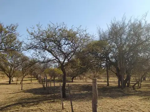 Venta Lote 532 M2, Santa Monica, Santa Rosa.