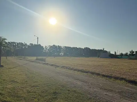 Terreno en Venta 40  mts Fondo