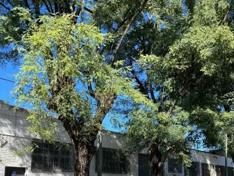 Galpón en venta en Vicente López Florida.