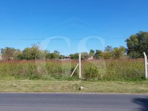 Las Piedras 2300