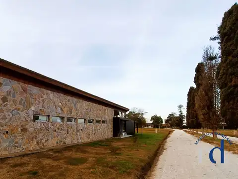 La Victoria 100