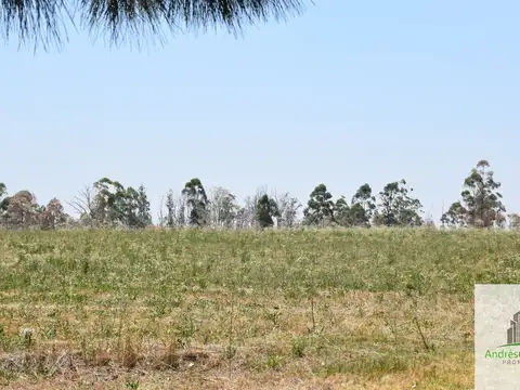 Terreno en Venta 190  mts Fondo