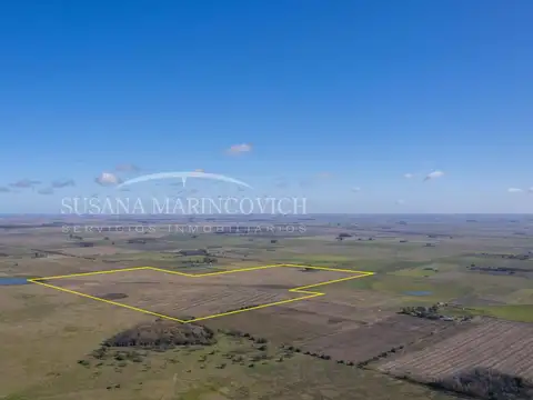 Campo ganadero de 80ha en venta en Navarro