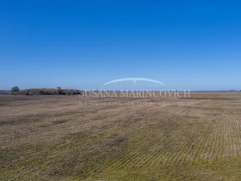 Campo ganadero de 80ha en venta en Navarro