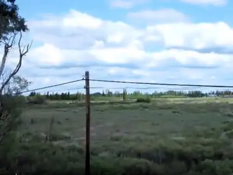 Terreno para loteo en Mendoza, General Alvear