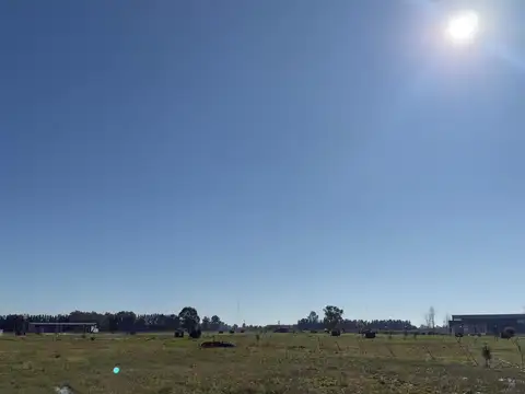 Terreno en Venta de 1001,0 m2