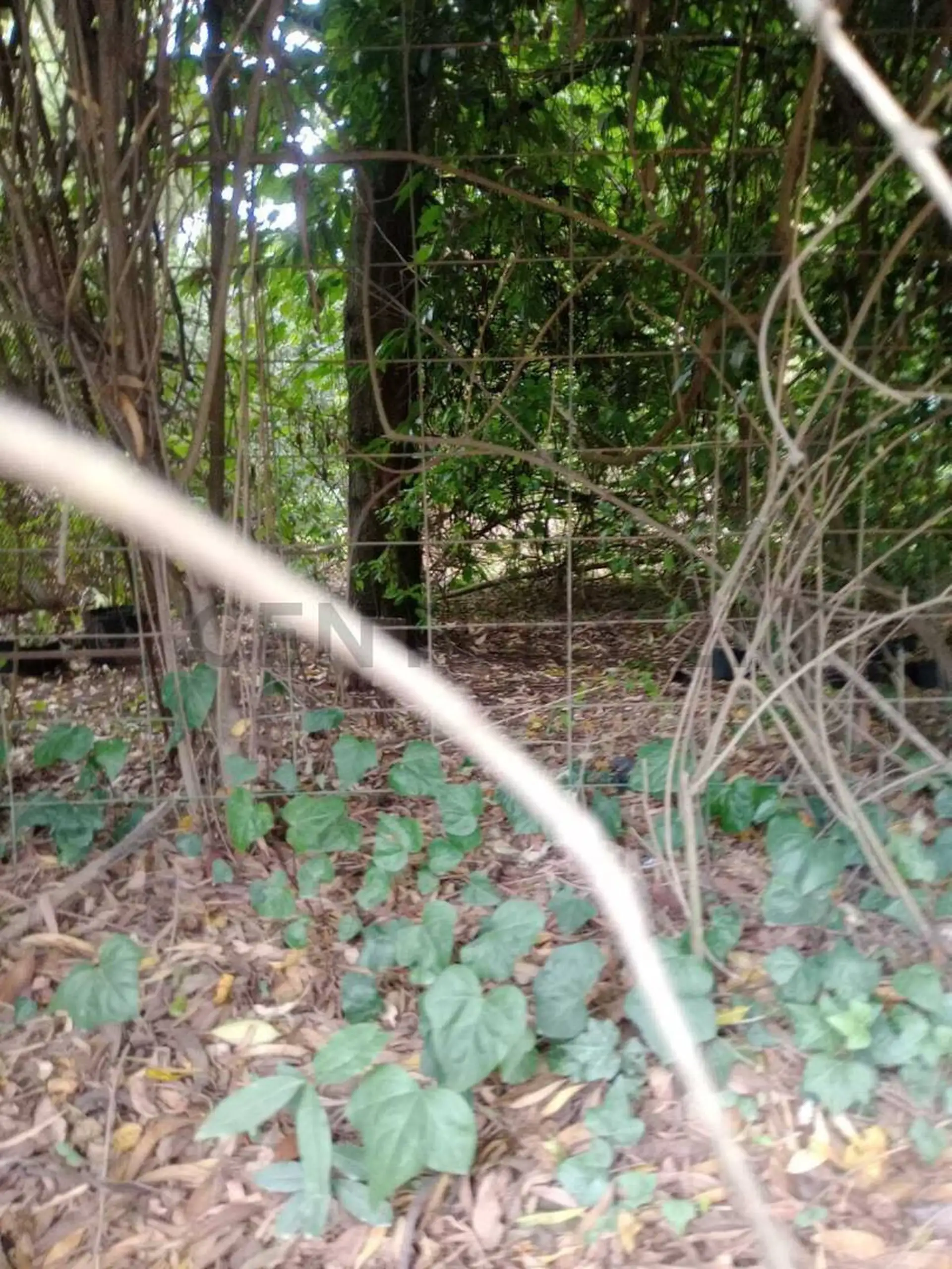 VENTA TERRENO EN BOSQUE PERALTA RAMOS 450 M2