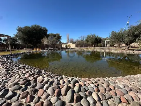 Quinta en Venta en Jesus Nazareno, Guaymallén