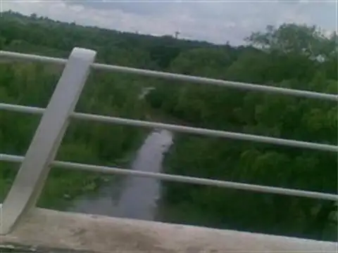 Campo ganadero 133 Has.