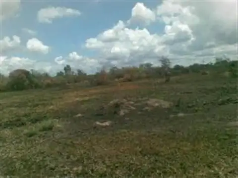 Campo ganadero 133 Has.