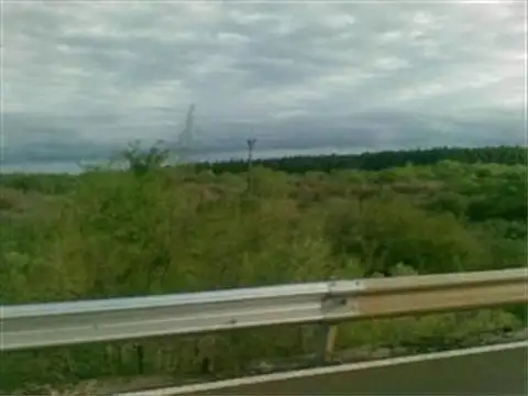 Campo en Venta Ganadero