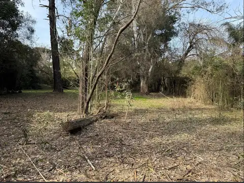 Terreno en Venta de 300,0 m2