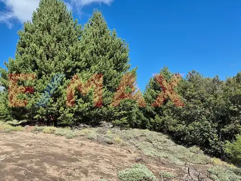 Terreno en Venta de 1848,0 m2