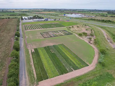 AUTOPISTA 9 ROSARIO-BUENOS AIRES