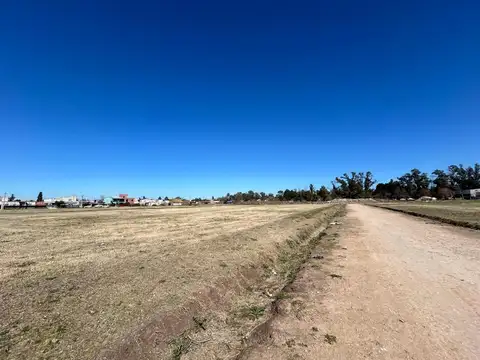 Tierra Del Fuego 1300