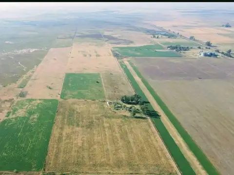 Campo en venta 66 ha - diaz