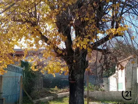 Terreno en Venta de 300,0 m2