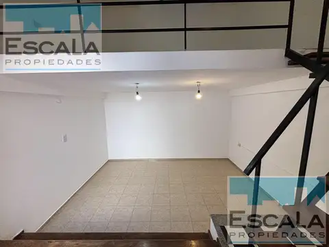 M. Paz al 3100