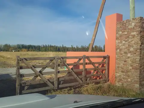 RN 26 pavimentada - Colonia Sarmiento