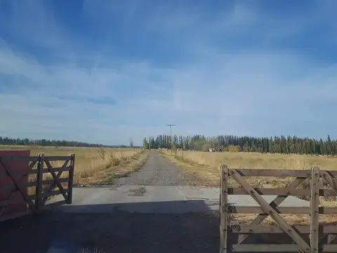 RN 26 pavimentada - Colonia Sarmiento