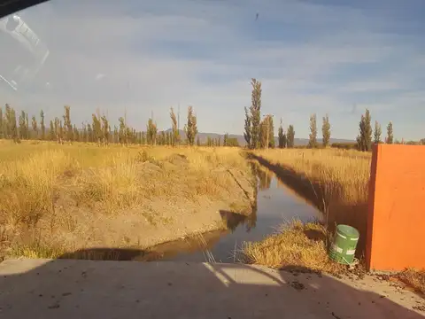 Excelente campo productivo, agricola y ganadero, excelentes instalaciones.