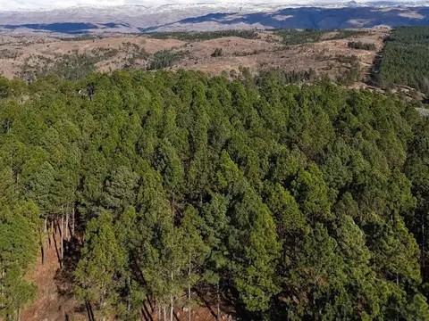 VENTA LOTE 1.65HA  SAN MIGUEL DE LOS RIOS YACANTO