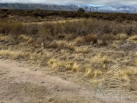 Ruta 1