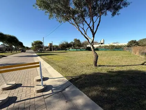 Terreno en Venta 50  mts Fondo