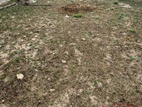 Terreno en Venta 8  mts Frente