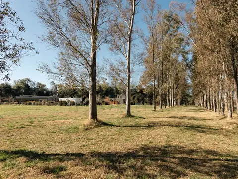 Retasado! Lote 1035 m2 Barrio El Tropezón de Areco