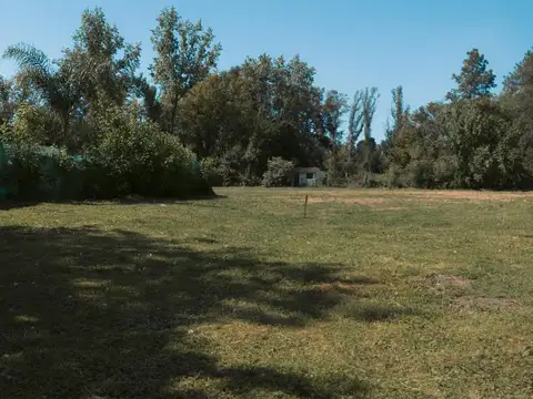 Peter Tchaicovsky 7010