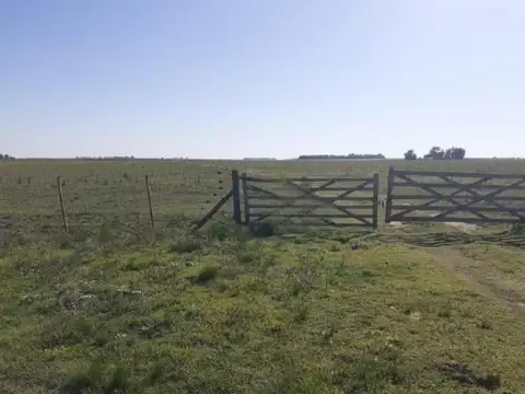 Campo en venta - 33.800.000Mts2 - San Cayetano